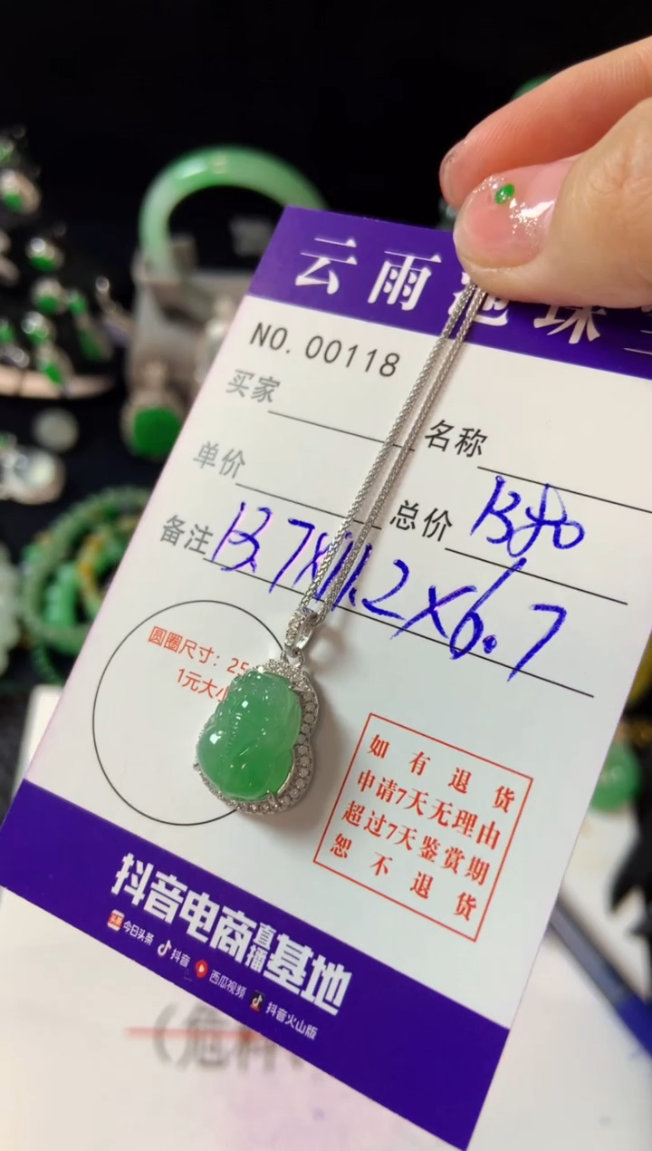 【闪购商品】翡翠颈饰银S925镶嵌翡翠