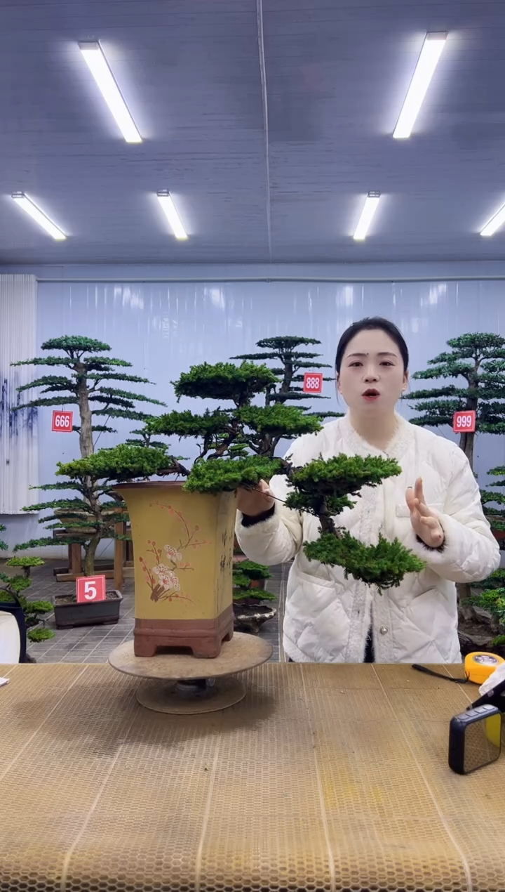 不****5000000000000000000000