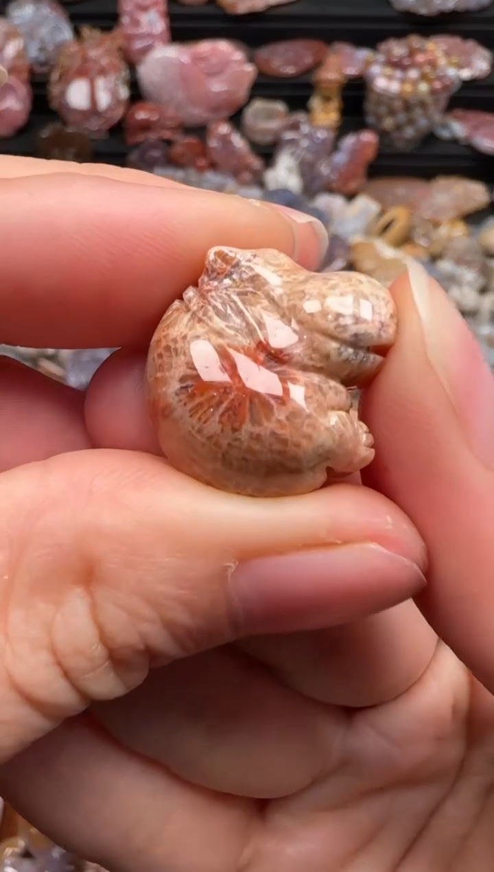 【闪购商品】硅化珊瑚（珊瑚玉）颈饰未镶嵌645