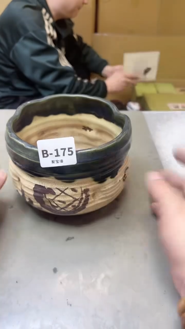 【闪购商品】瓷片175  聚宝缘二号店