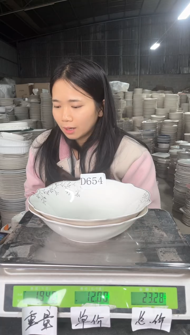 新骨瓷D654  9寸  2个