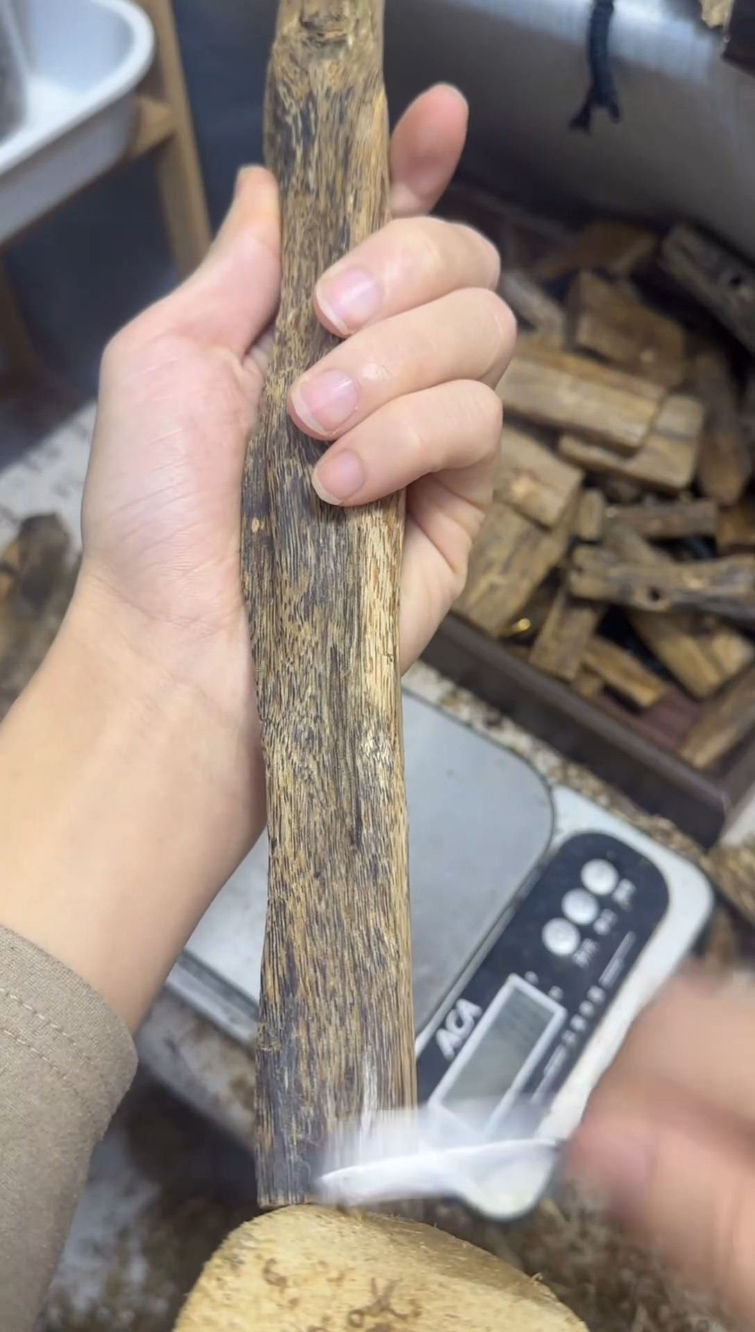 沉香沉香碎屑张勺子