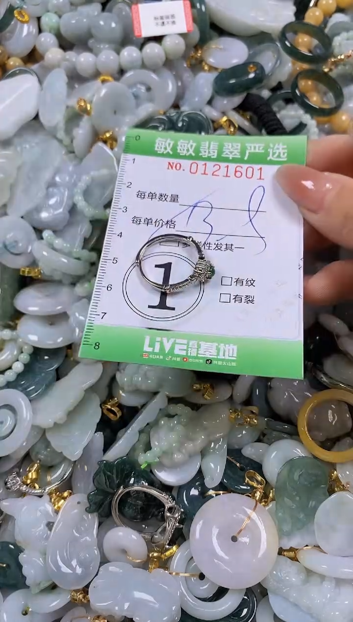 【闪购商品】翡翠颈饰未镶嵌闪购0121601多样性发其一