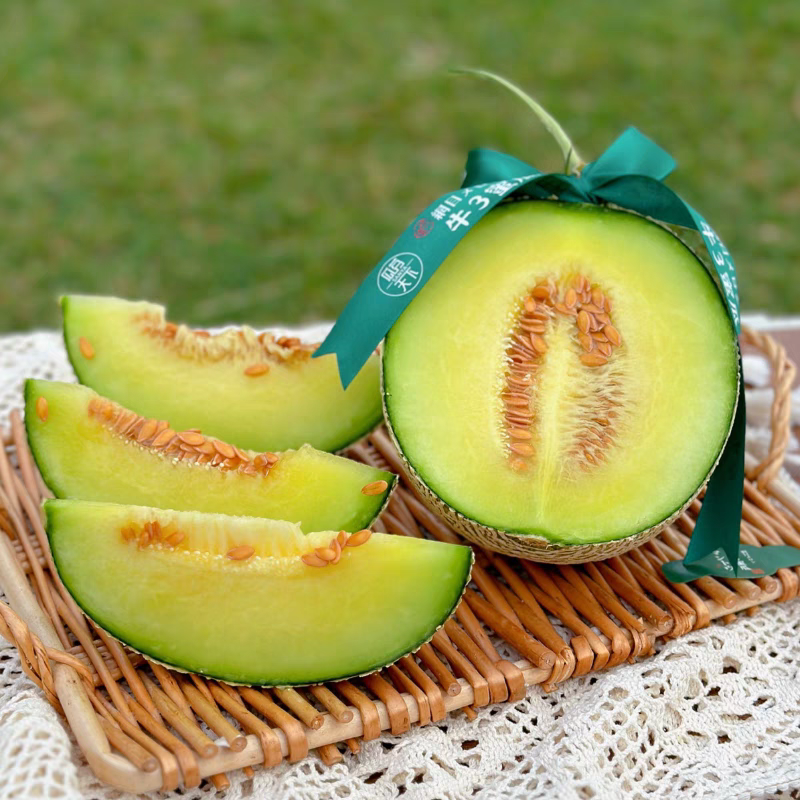 海南牛三网文蜜瓜5粒装净重约16斤现货