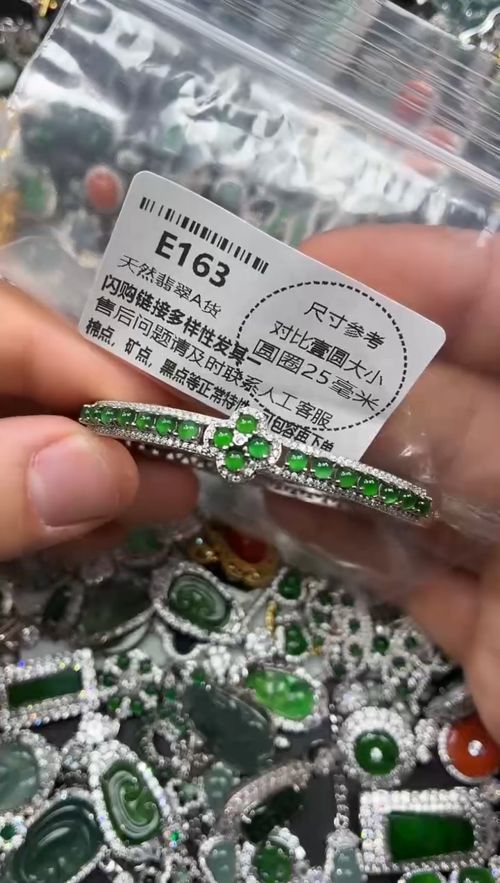 颈饰未镶嵌翡翠E163手镯