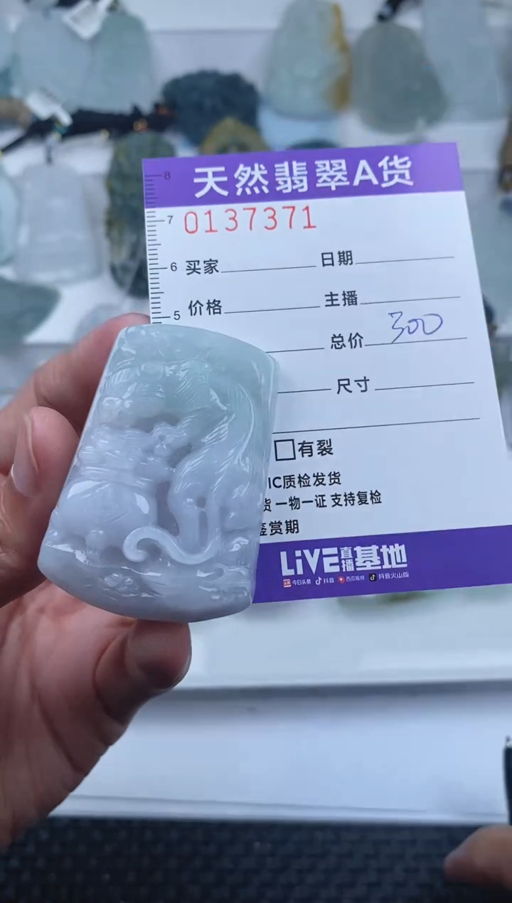 【闪购商品】翡翠颈饰未镶嵌       371