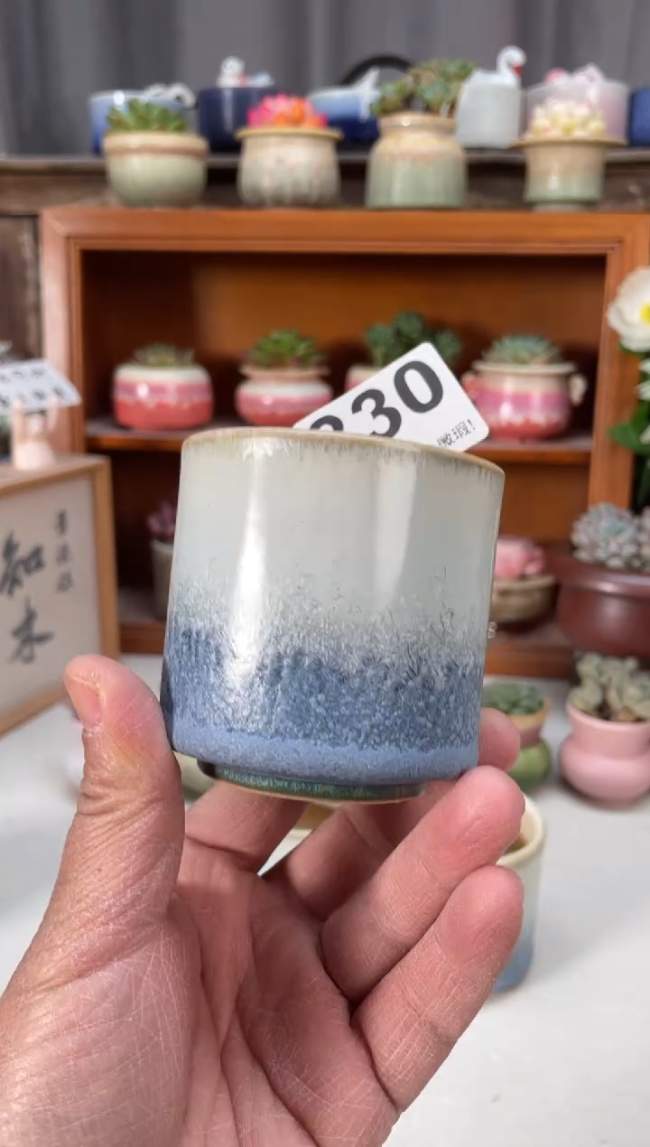 瓷片330小芳直播编号