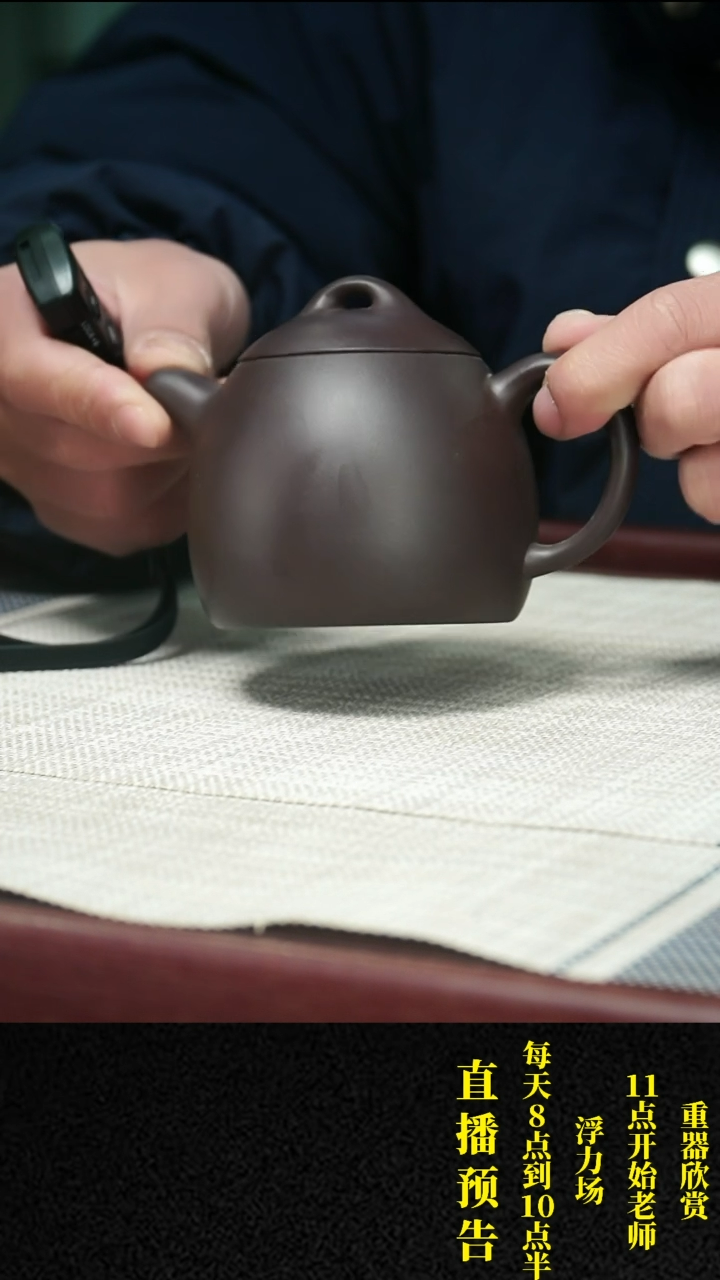 【闪购商品】紫砂茶壶紫砂 茶壶1