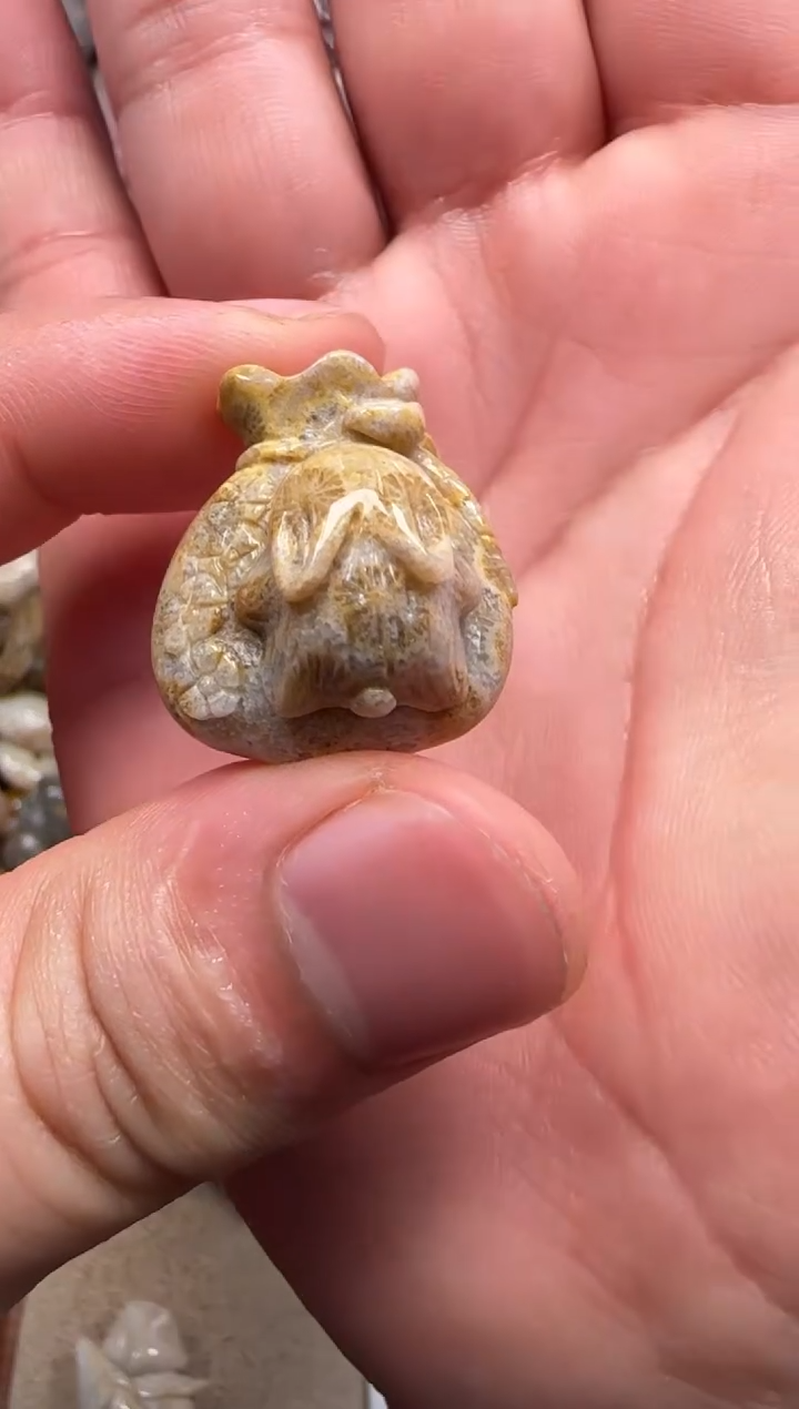 【闪购商品】硅化珊瑚（珊瑚玉）颈饰未镶嵌021