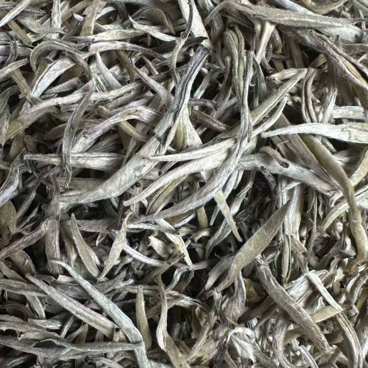 【152】2025年   马台白毫银针白茶100g（白茶）    5月30号