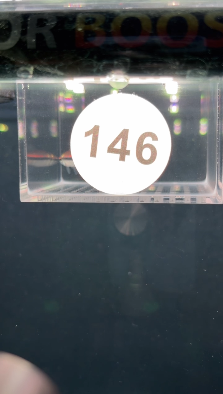 灯科鱼S****?【146】瓜波巧克力