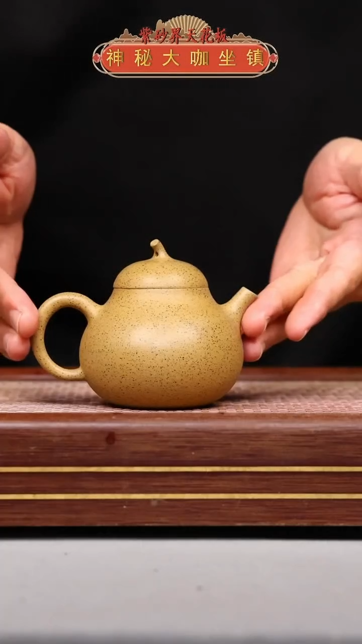 【闪购商品】紫砂壶DWL241028T250-002