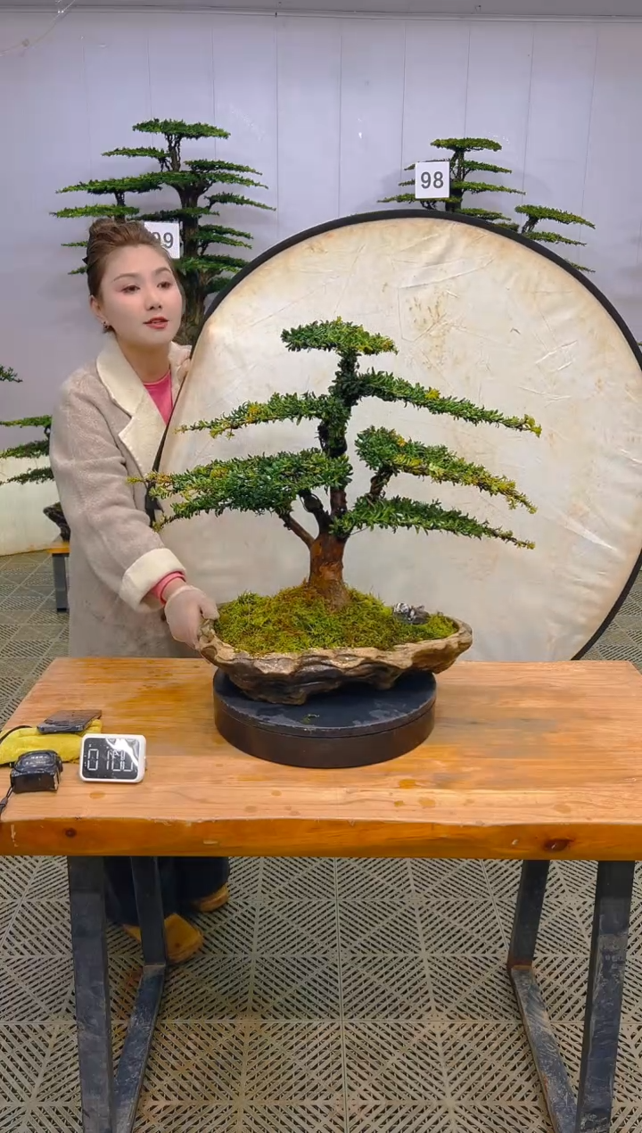 无花朵一物一拍一物一拍