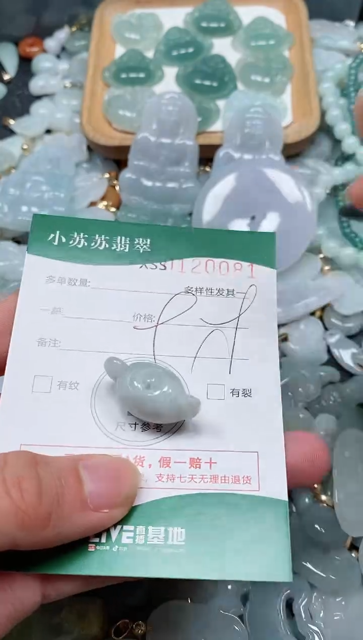 【闪购商品】翡翠颈饰未镶嵌闪购商品0120081