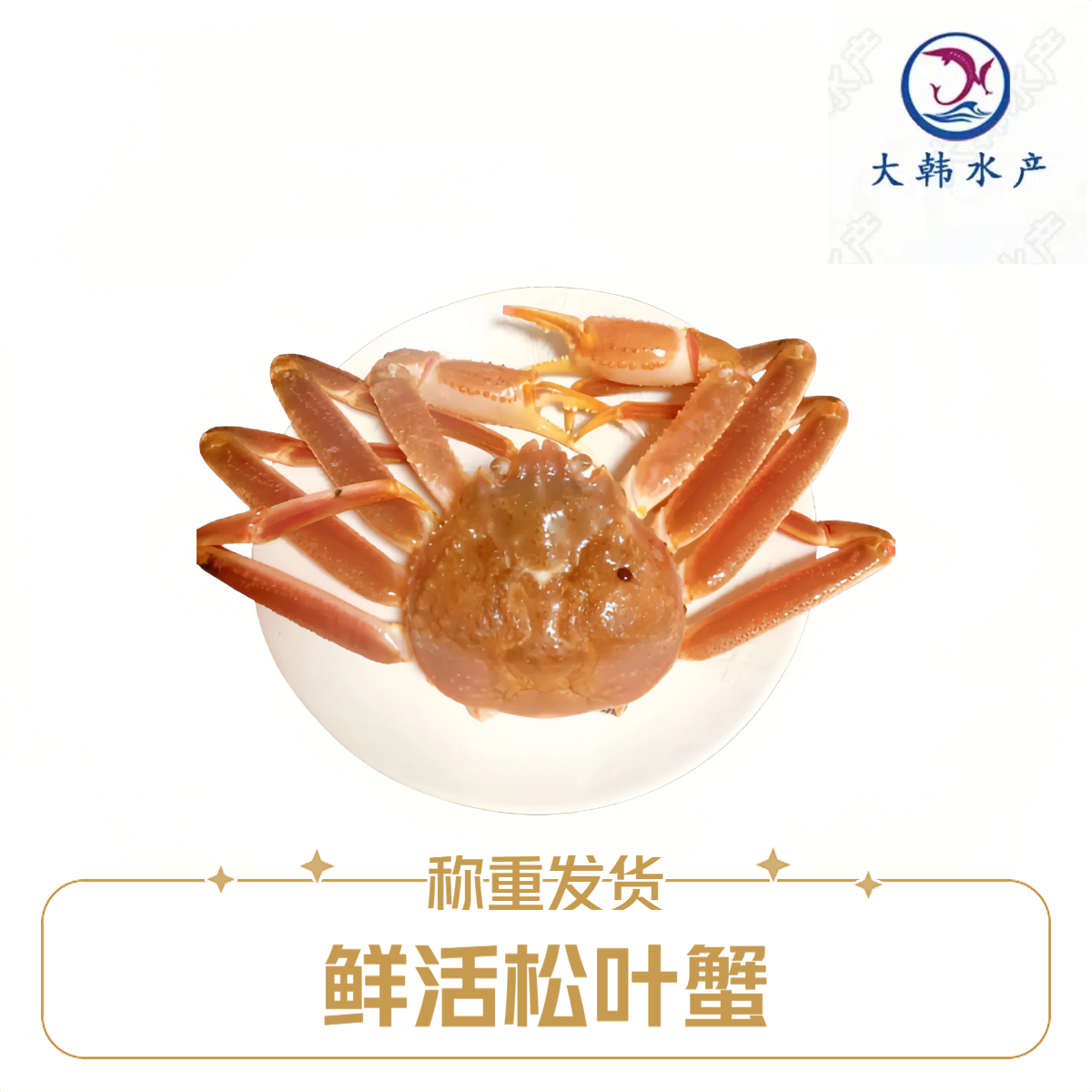 鲜活松叶蟹 称重发货（1kg±50g）