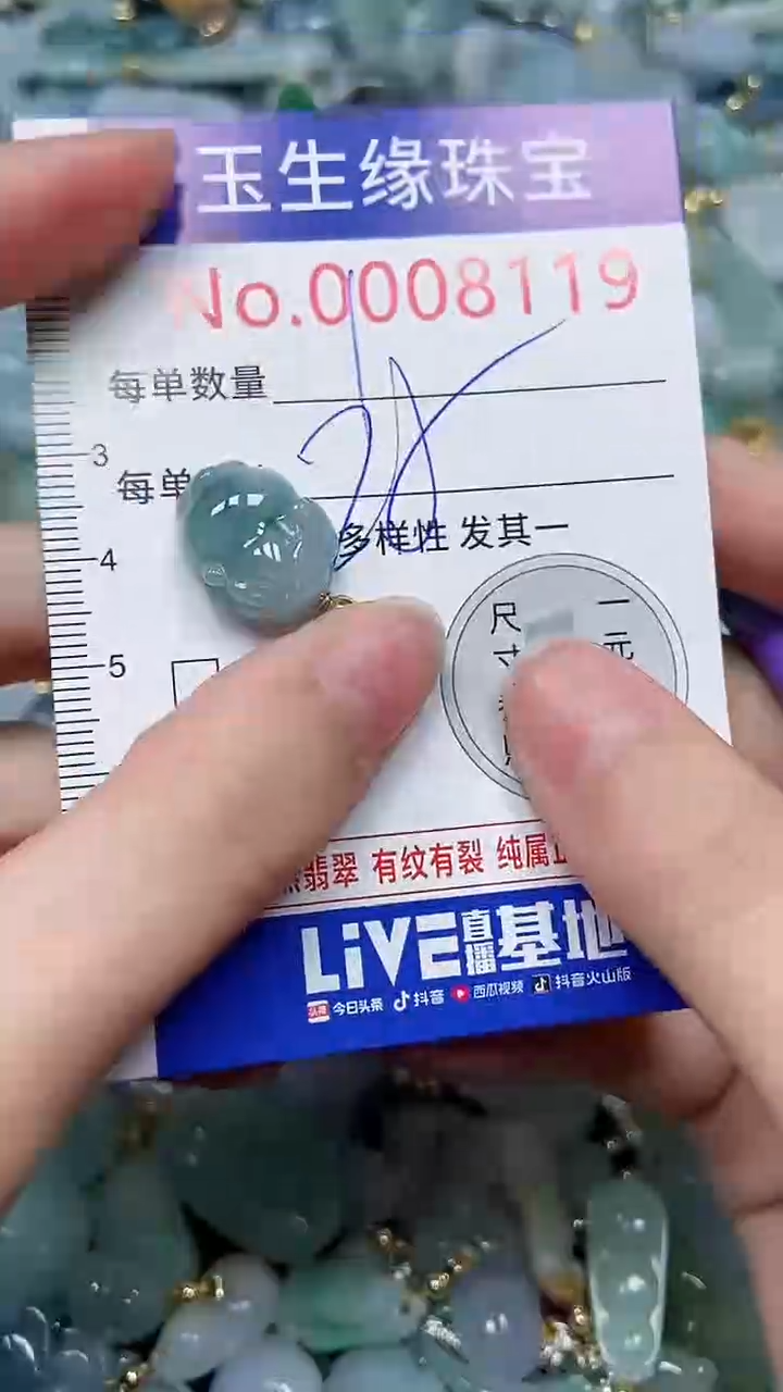 【闪购商品】翡翠颈饰未镶嵌闪购00008119