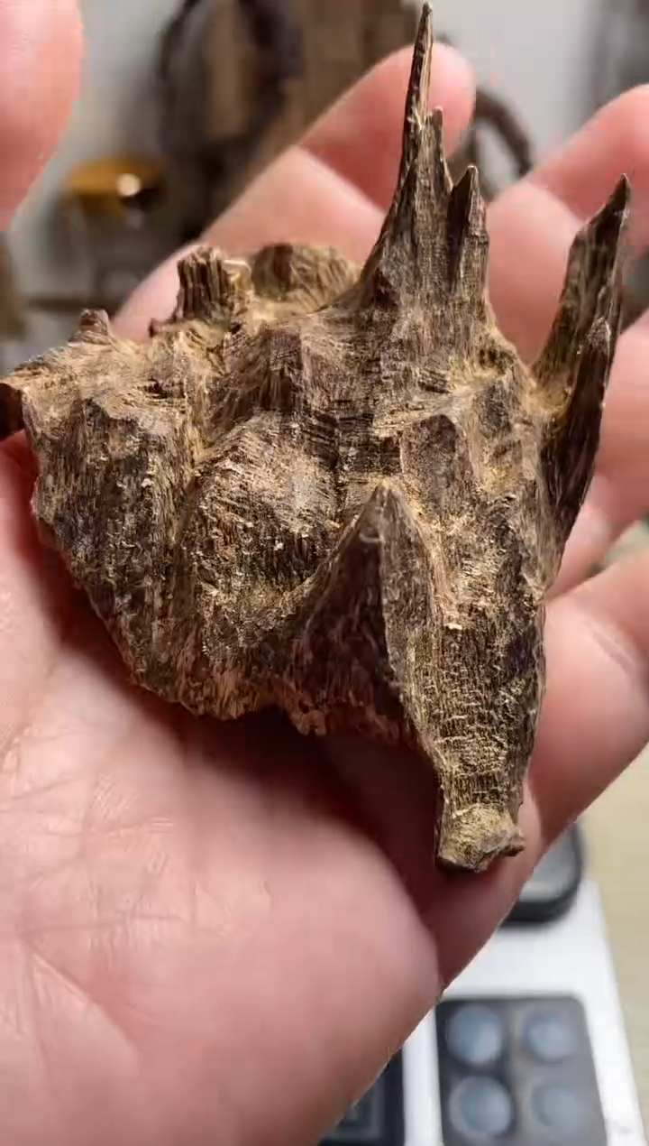 【闪购商品】沉香沉香碎屑芽庄沉香吊口料8克