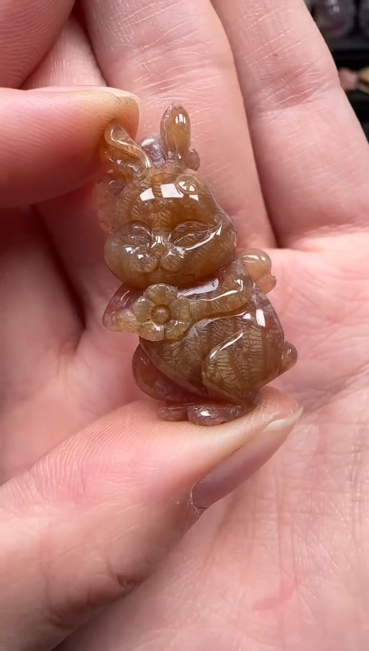 颈饰未镶嵌硅化珊瑚（珊瑚玉）180