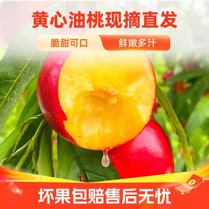 正宗山西麻脸油桃新鲜水果当季现摘现发脆甜多汁黄肉油桃
