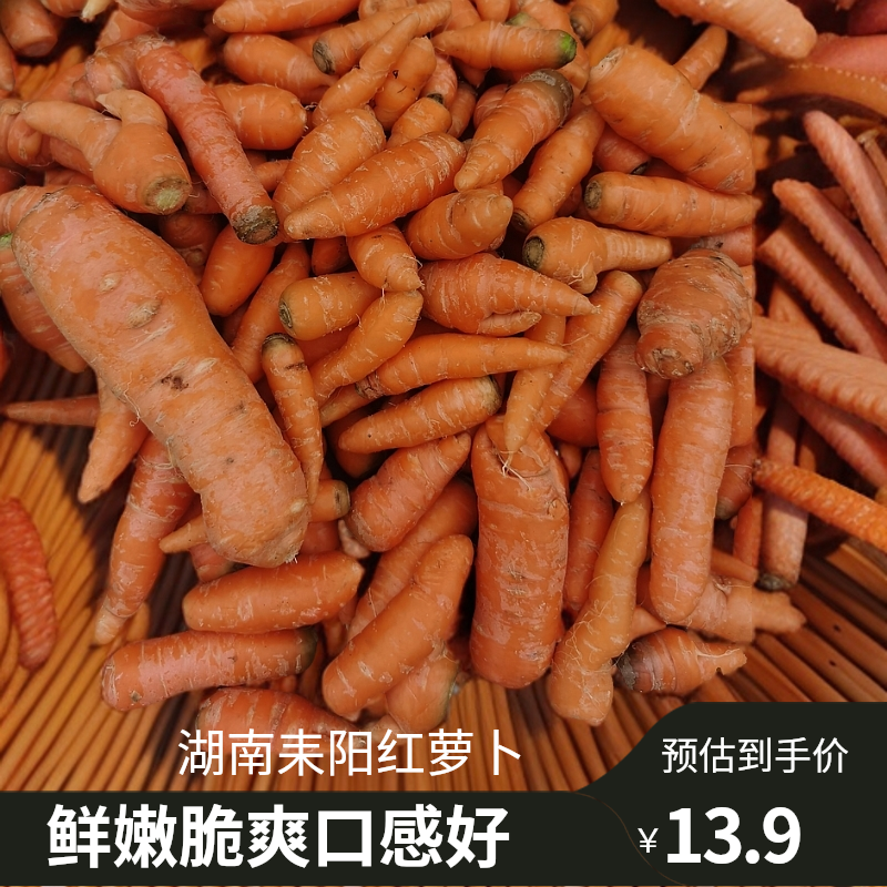 湖南耒阳农家自种红萝卜白萝卜