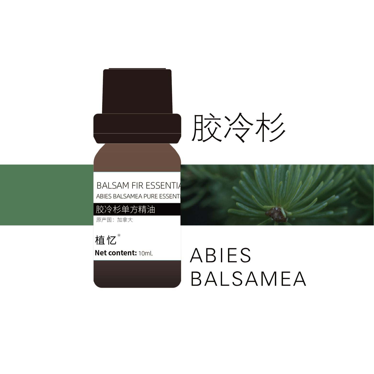 植忆胶冷杉精油 加拿大 植物香薰单方精油