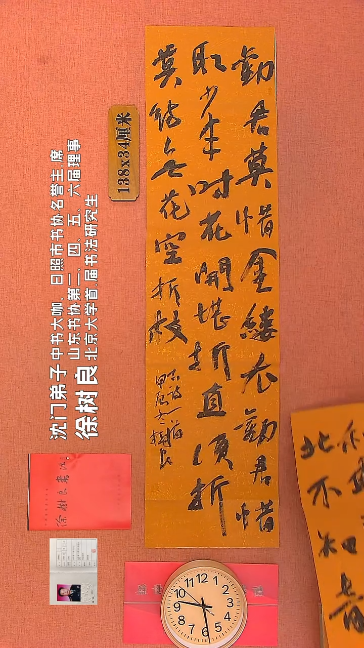 【闪购商品】书法68        徐树良书法作品