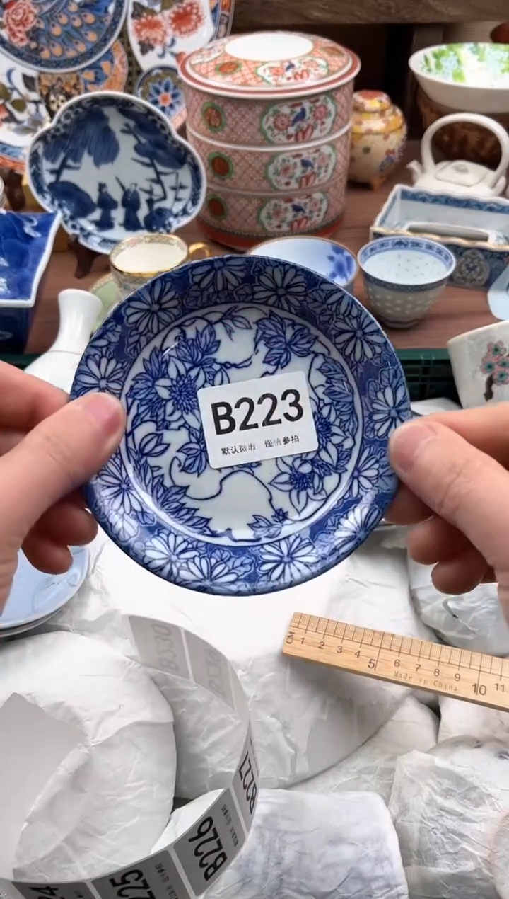 【闪购商品】瓷片223             