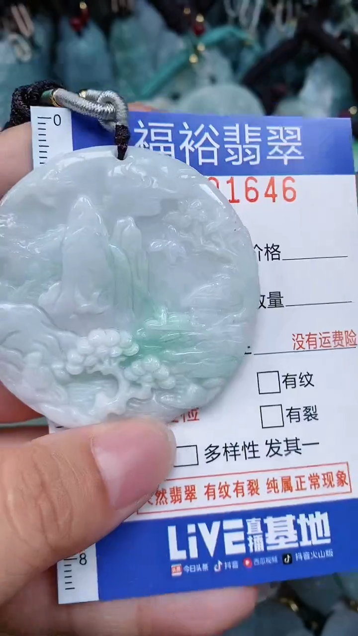 翡翠未镶嵌颈饰...0001646