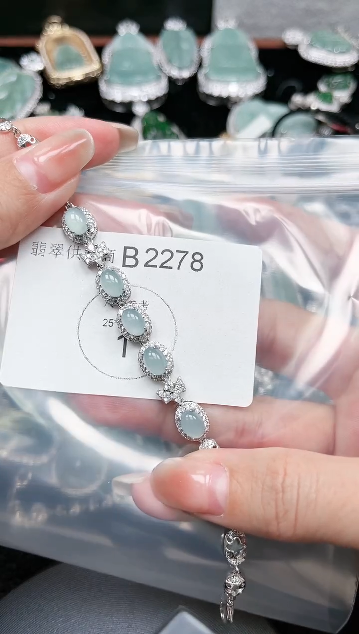 【闪购商品】翡翠颈饰未镶嵌赠皮绳2278