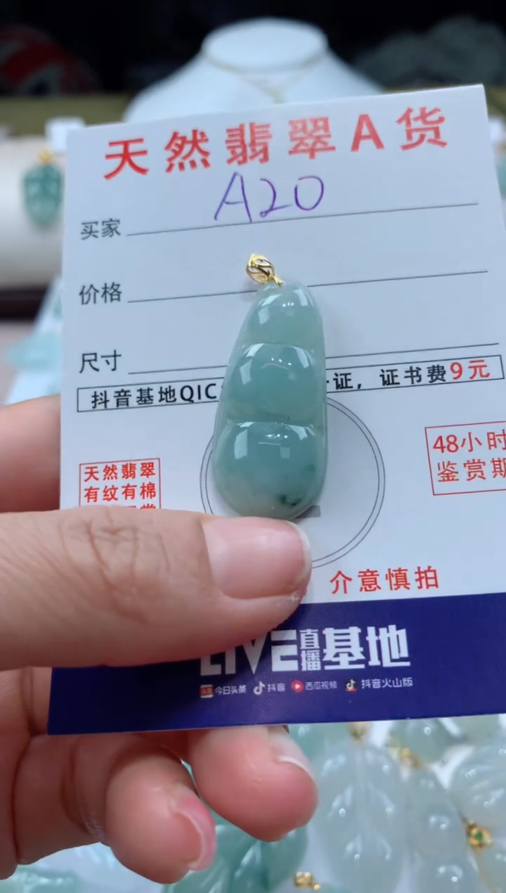 【闪购商品】翡翠颈饰未镶嵌天然A货翡翠挂件