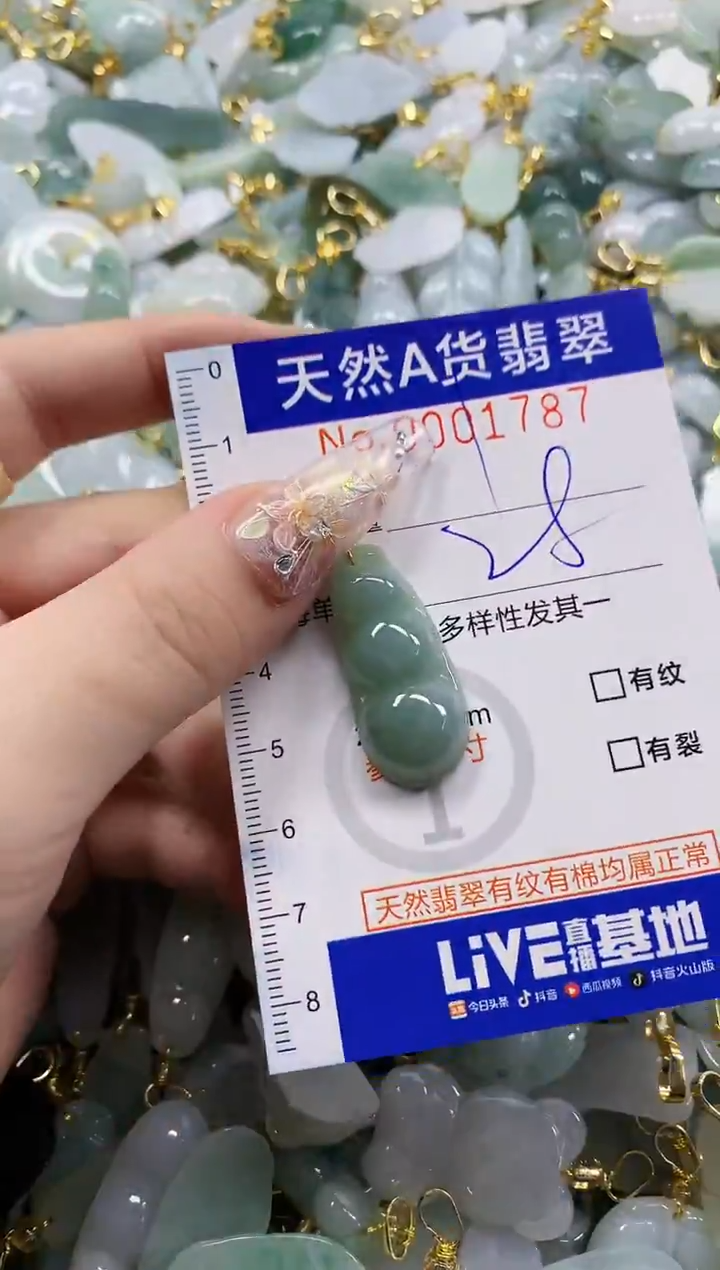 颈饰未镶嵌翡翠天然A货翡翠