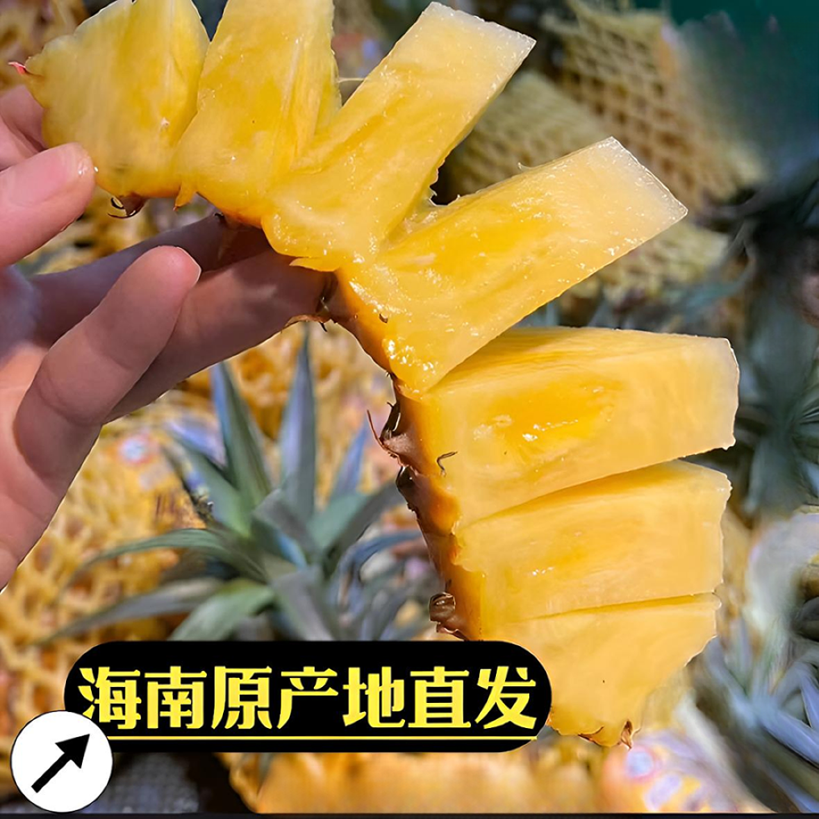 【正宗】海南金钻凤梨自然树熟爆甜多汁海南直发现摘现发