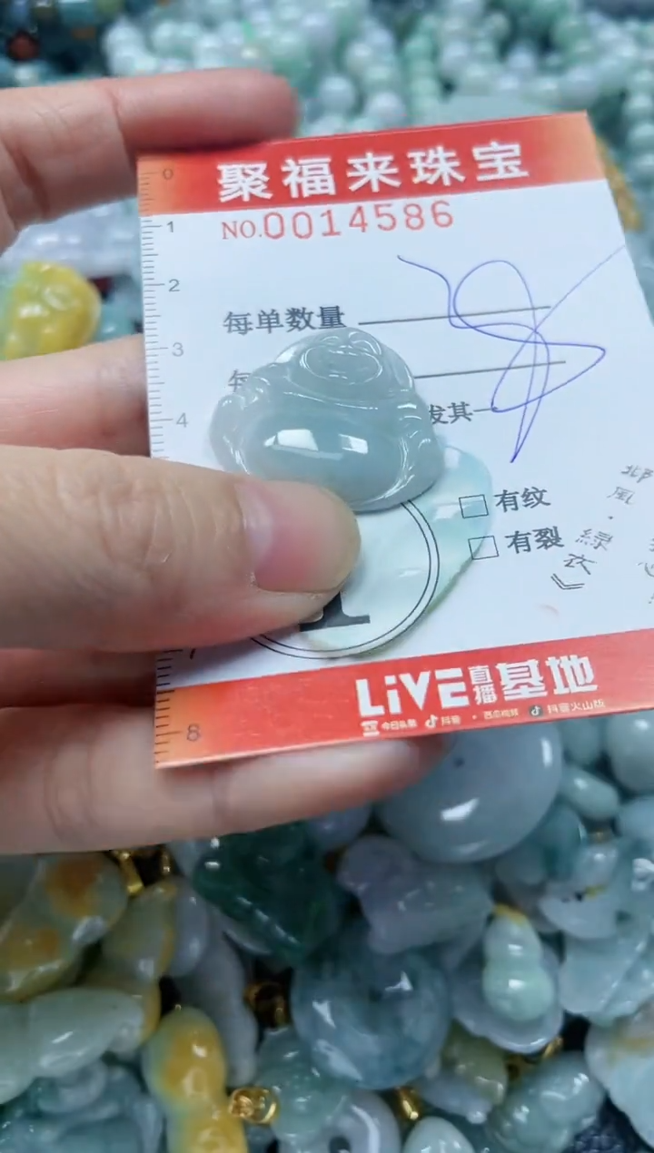 【闪购商品】翡翠颈饰未镶嵌闪购0014586