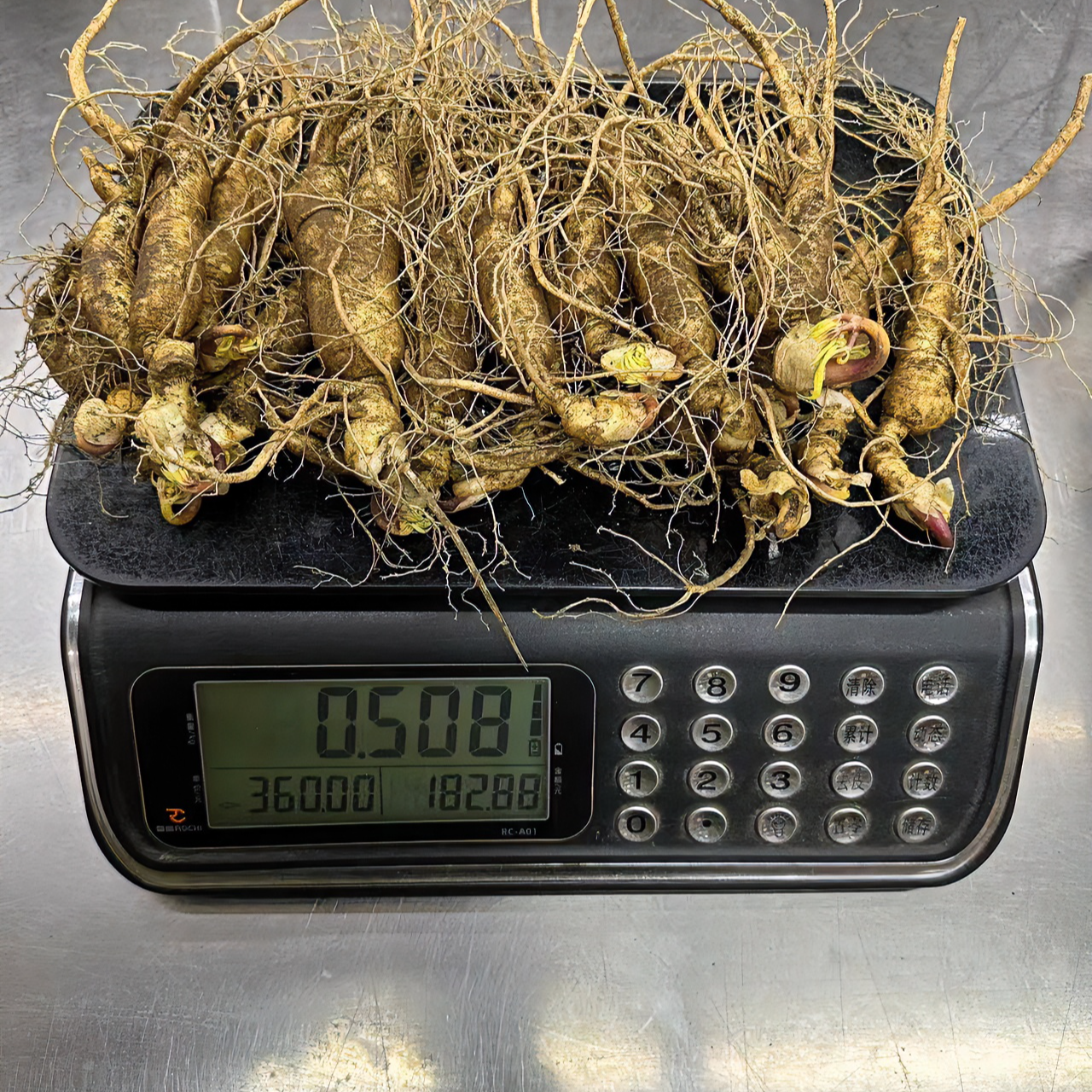 人参改价专业链接勿拍勿拍