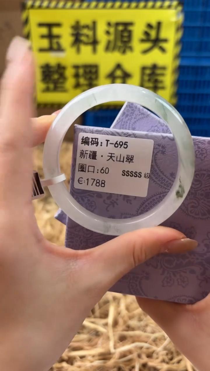 未镶嵌手镯石英质玉T-695