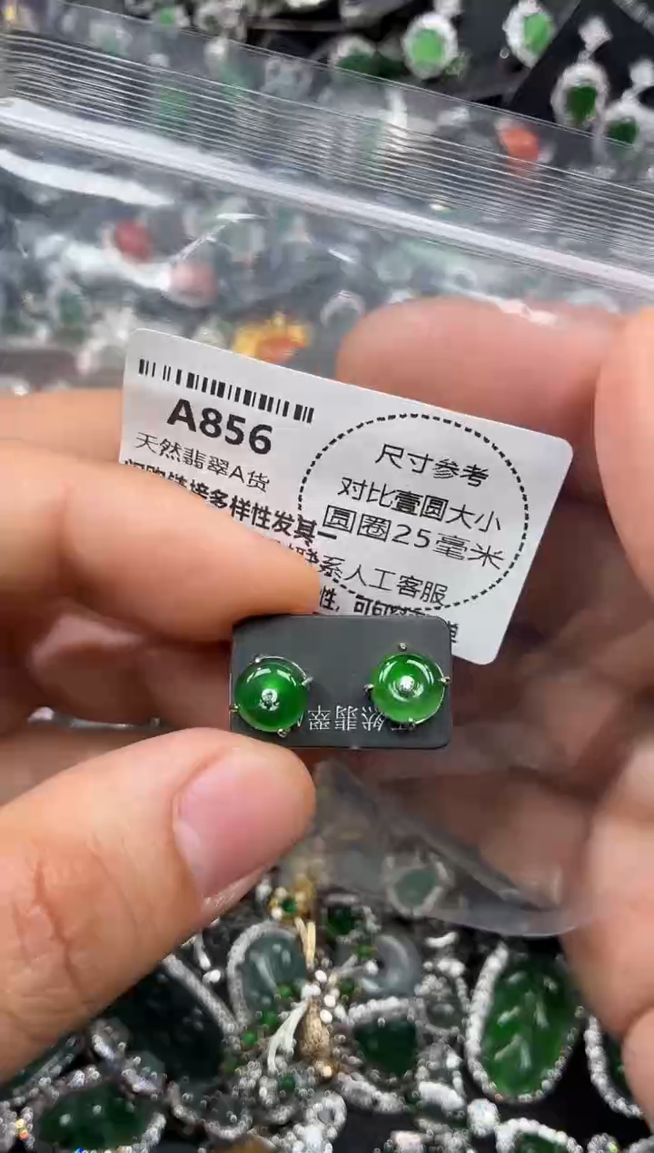 颈饰未镶嵌翡翠A856耳钉