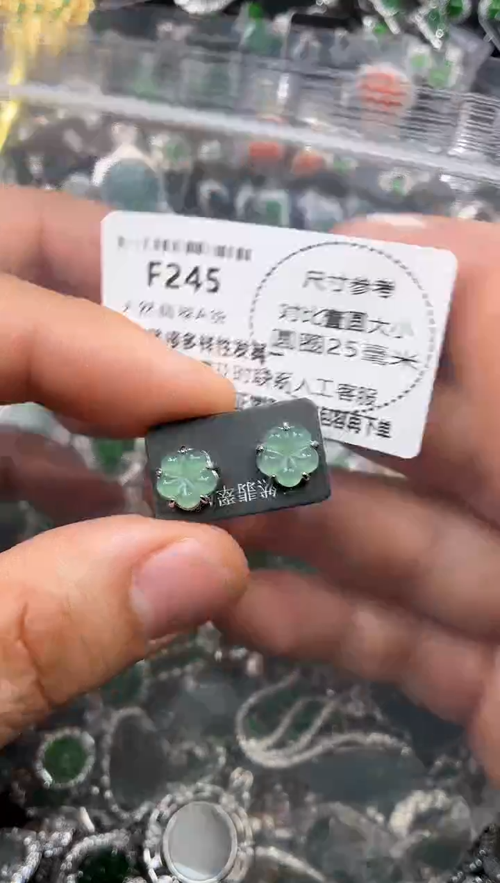 颈饰未镶嵌翡翠F245耳钉