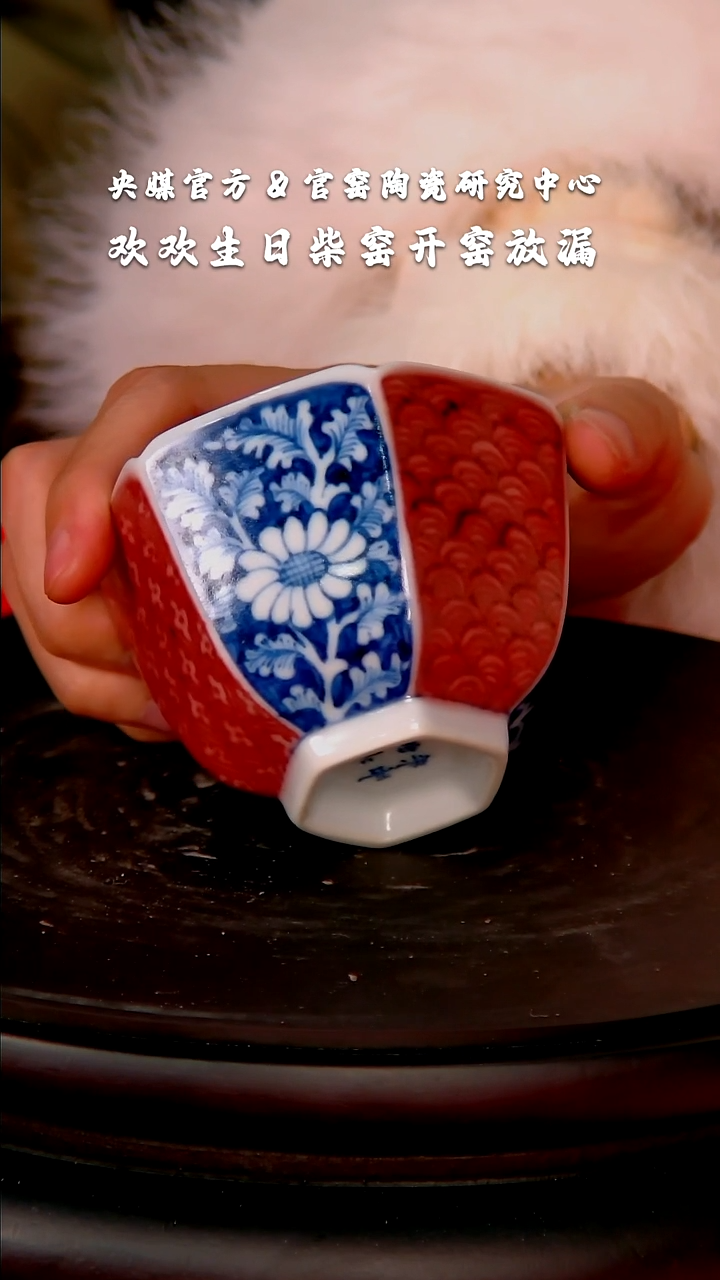 【闪购商品】瓷片柴窑        流水78