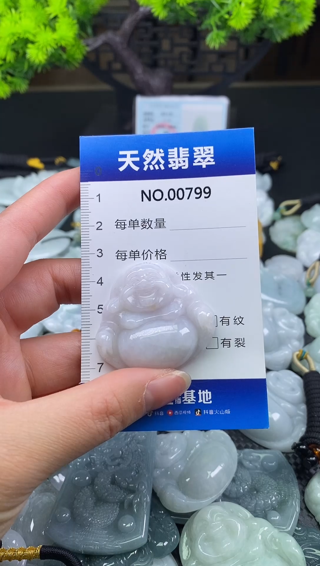 颈饰未镶嵌翡翠天然缅甸翡翠799