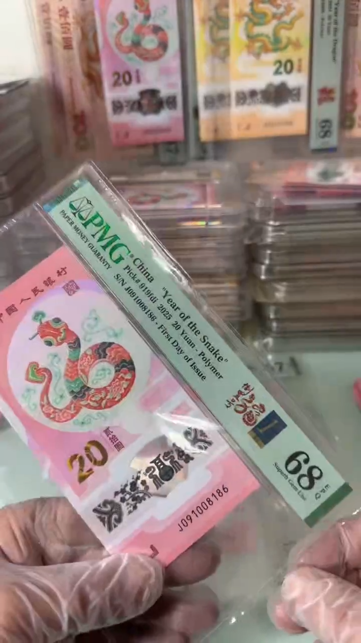 塑料091008186蛇钞单张
