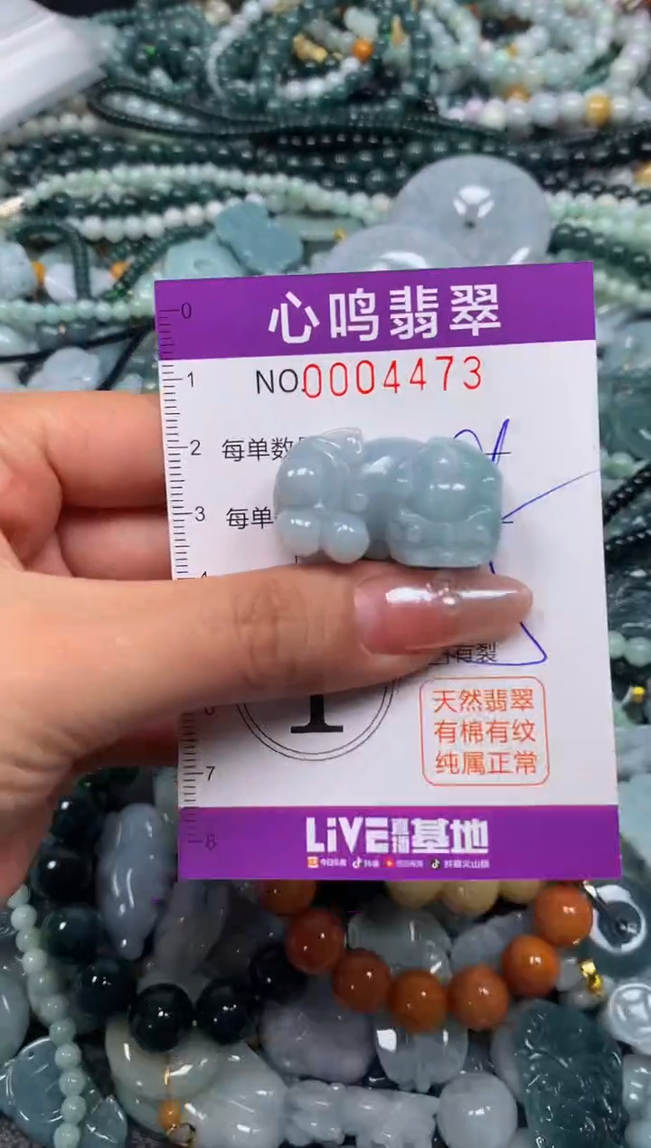 颈饰未镶嵌翡翠闪购004473