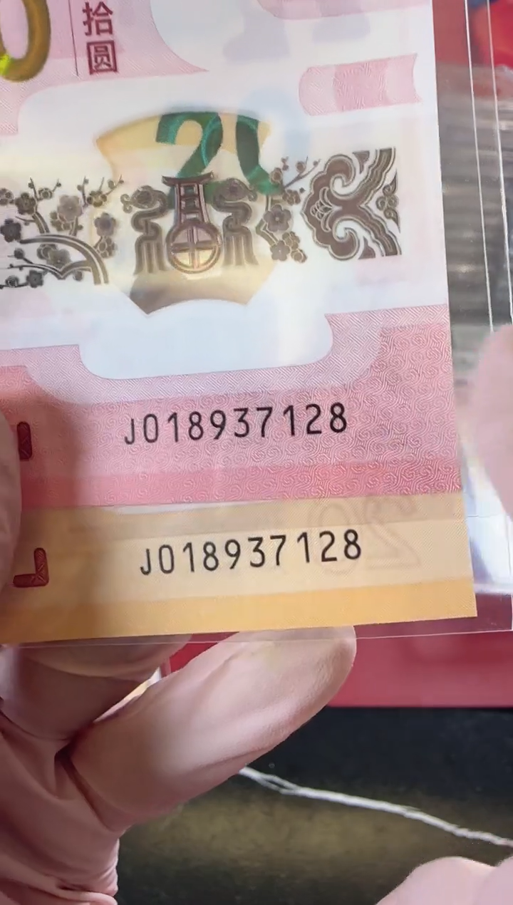 【闪购商品】塑料2024龙钞全同号裸啊啊啊啊啊