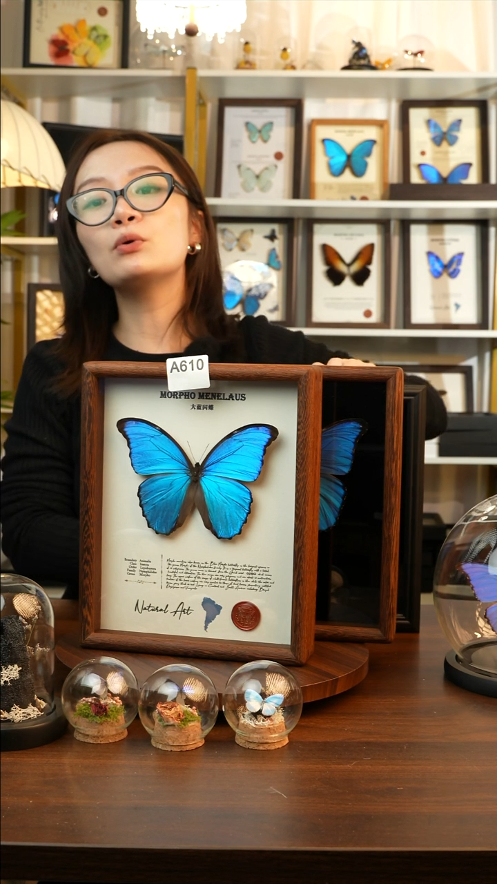 樱*大蓝闪蝶白底豪华（10寸鸡翅木框）A610