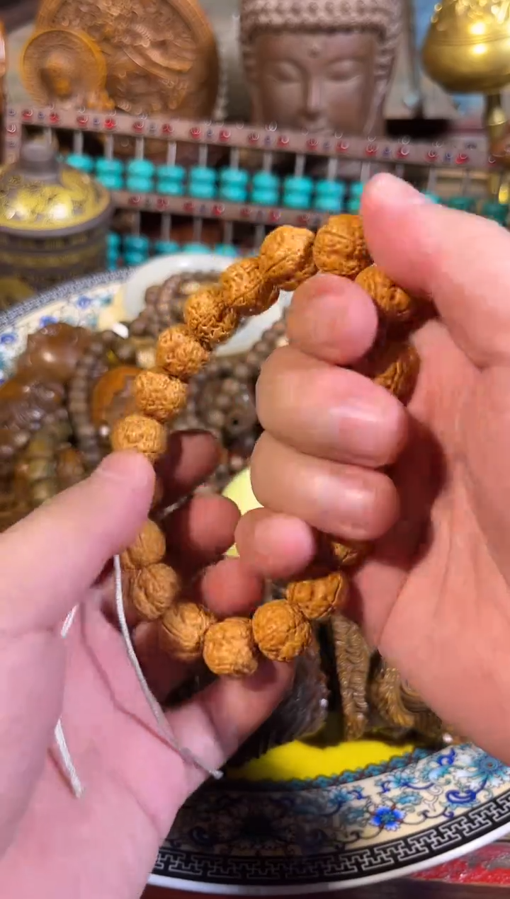 黄杨木11111111111111