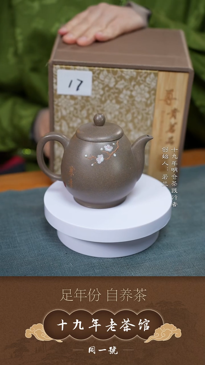 茶壶紫砂宜兴原矿紫砂精品壶17号