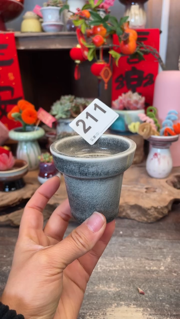 【闪购商品】摆件211知木小芳花盆