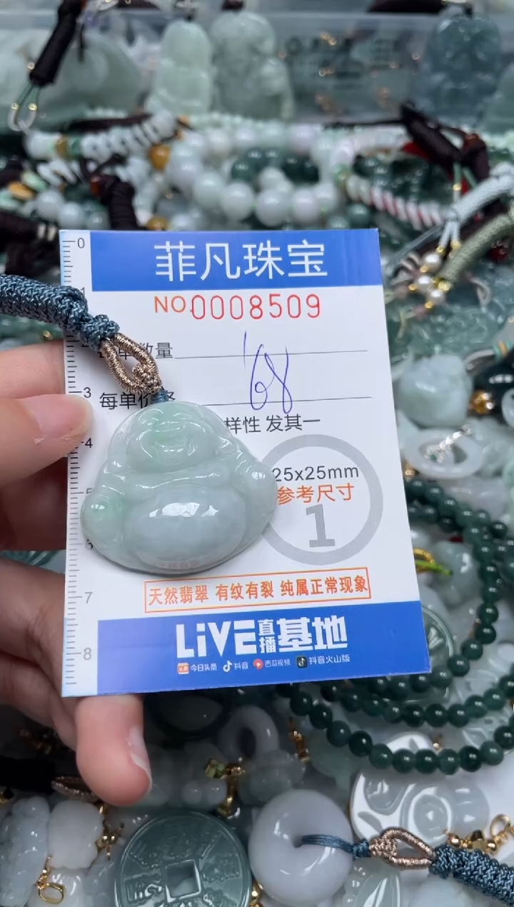 【闪购商品】翡翠颈饰未镶嵌00..8509