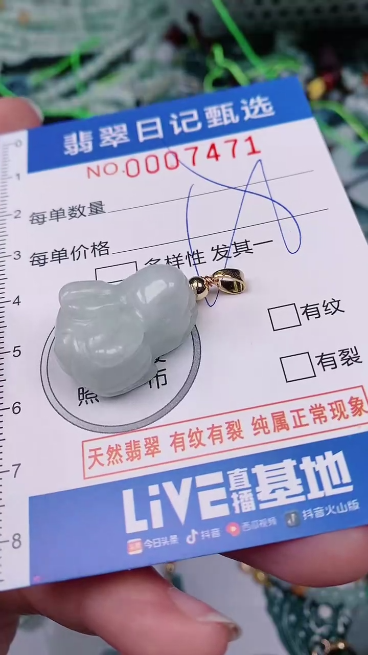 【闪购商品】翡翠颈饰未镶嵌00007471