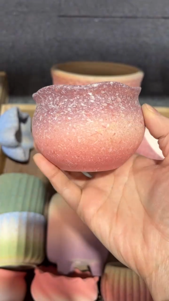 【闪购商品】陶内口  8  内高6