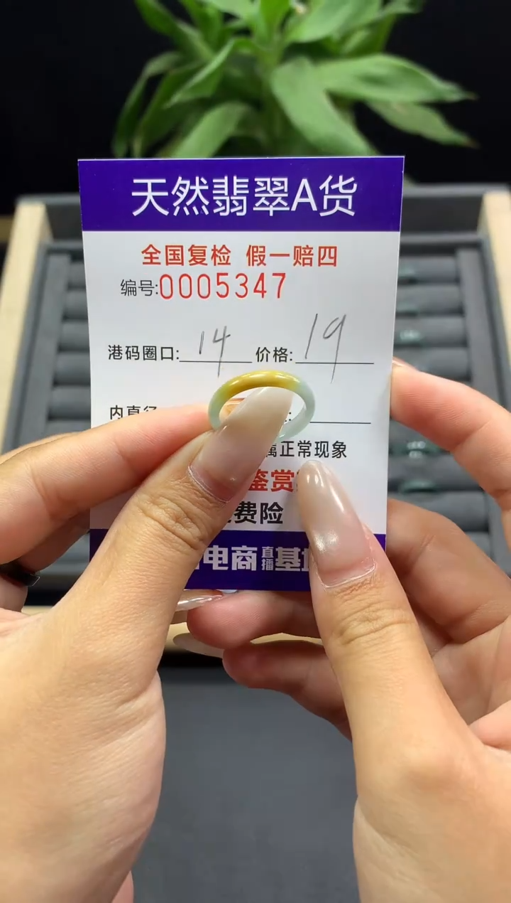 未镶嵌戒指翡翠天然  5347